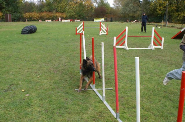 agility 2011-10-30